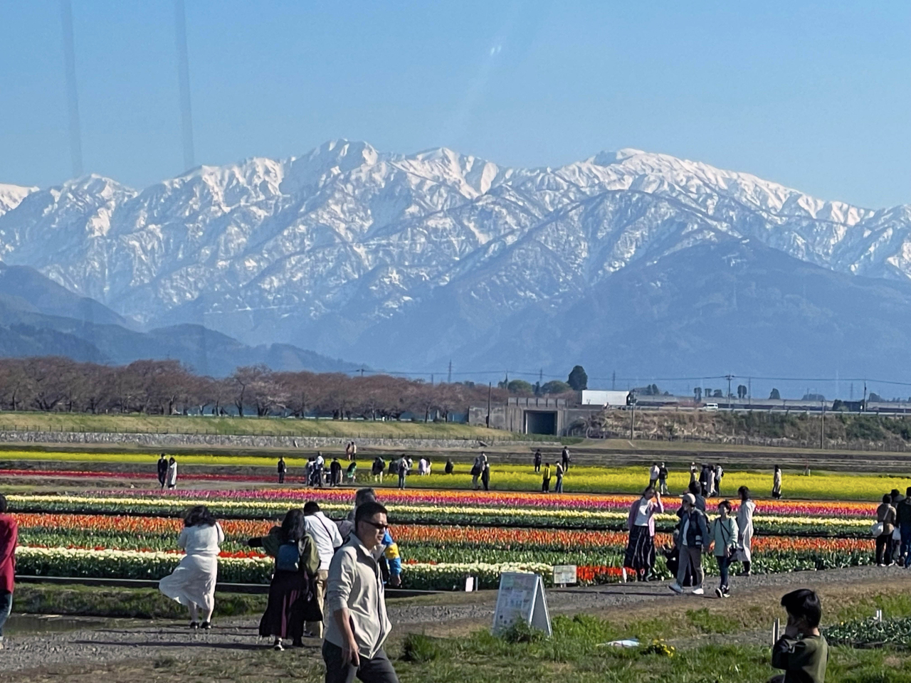 「春の四重奏」シャトルバス最終日